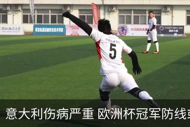 意大利伤病严重 欧洲杯冠军防线或全部无法上场